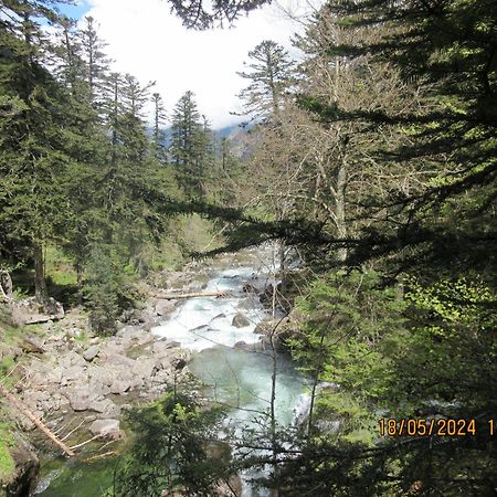 Studio Cerisema Pyrenees Zenith Luz-Saint-Sauveur Luaran gambar